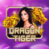Dragon Tiger live dealer cover on bet99 app apk